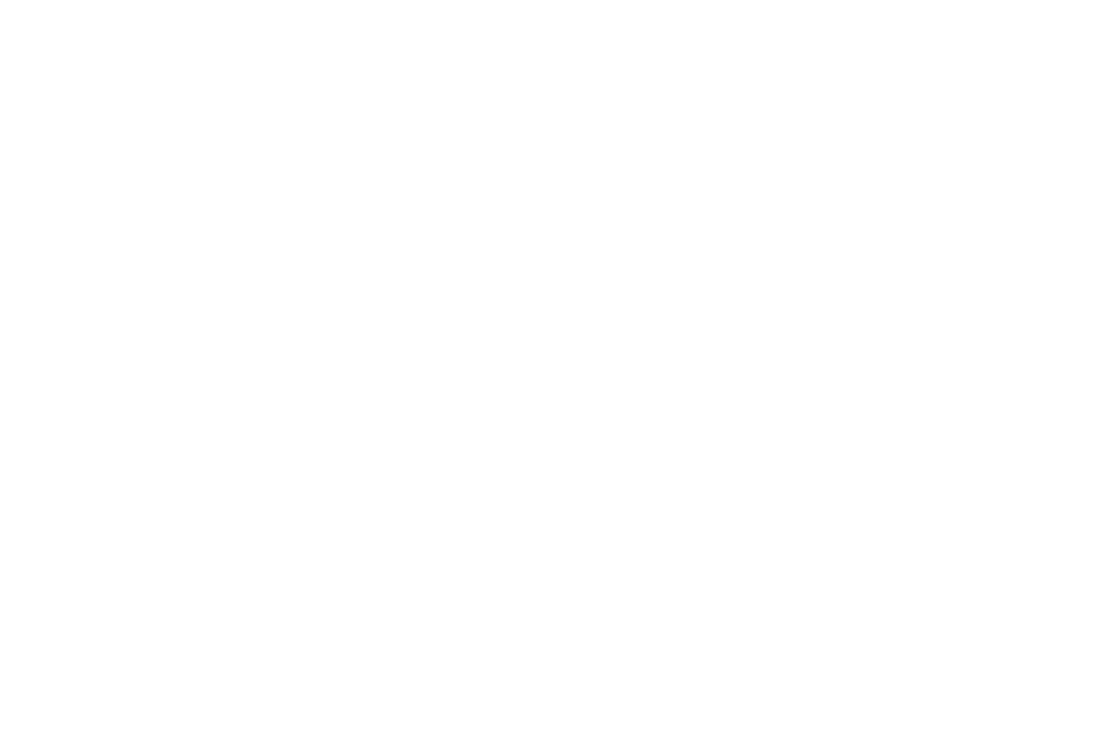 Soundcat